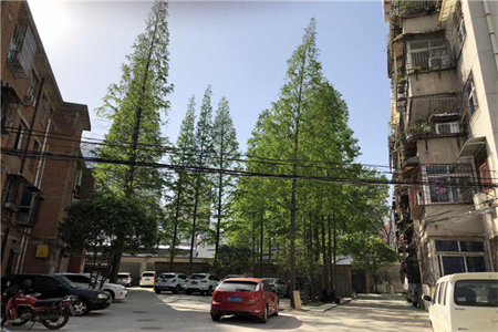 市中文化三村2室1厅1卫40m2简单装修